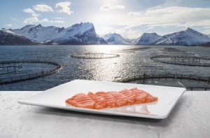 Włącz do swojej diety ryby i owoce morza