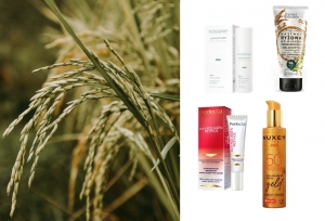 Ryż w pielęgnacji sk&oacute;ry