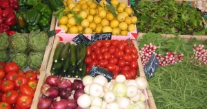 X Ogólnopolski Tydzień Wegetarianizmu