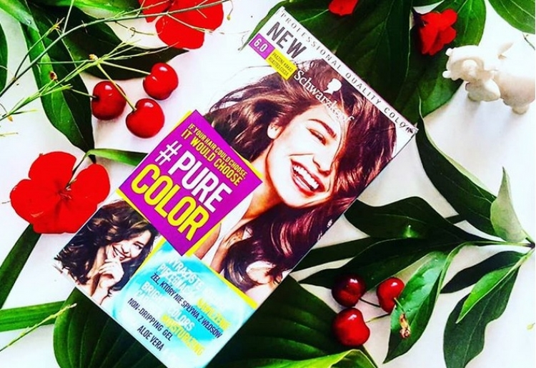 Schwarzkopf Farba Pure Color nr 6.0 prażone kakao