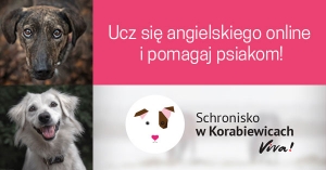 Pomagaj zwierzakom ze schroniska w Korabiewicach