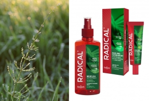 Radical – moc skrzypu polnego