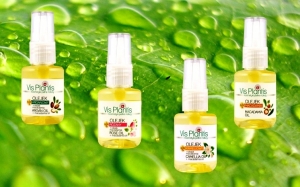 Moc natury w olejkach Vis Plantis