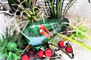 Camolin pielęgnacja o zapachu rabarbaru