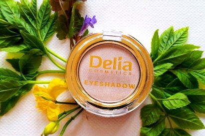 Delia Cosmetics cień do powiek nr 02