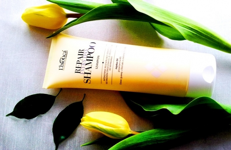 L’biotica Professional Therapy Repair Every Day Shampoo