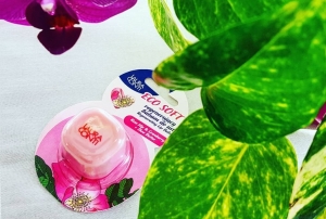 Laura Conti Eco Soft regenerujący balsam do ust