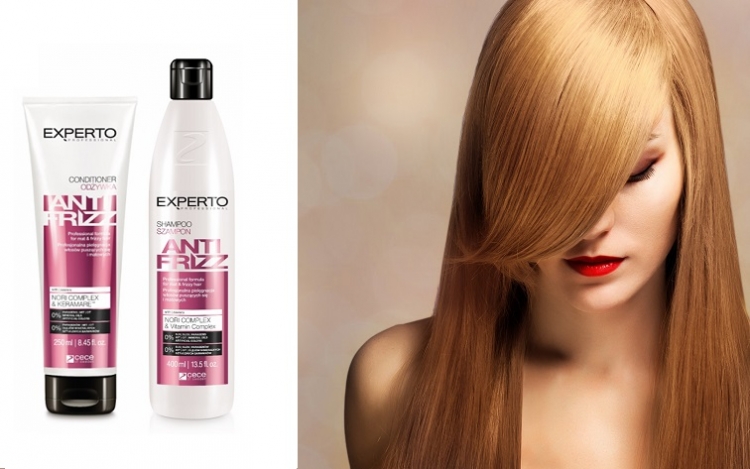 Experto Professional Anti Frizz