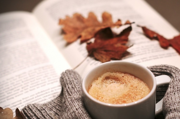 Poradnik internetowego mola książkowego