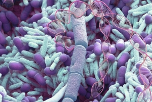 Tajemnicza mikrobiota