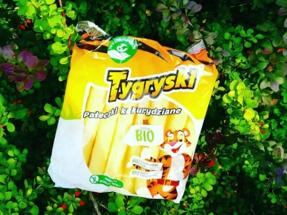 Baw się i ucz z Tygryskiem