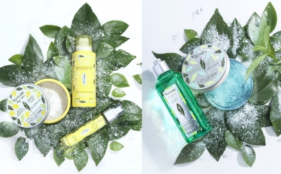 Nowa kolekcja L’Occitane Werbena 2018