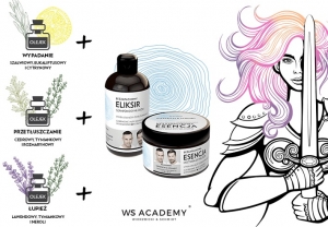 Porady specjalist&oacute;w WS Academy Wierzbicki &amp; Schmidt