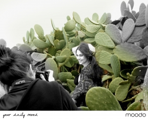 MOODO Spring – Summer 2016