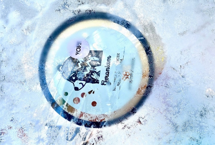 Masła do ciała Yope na zimę