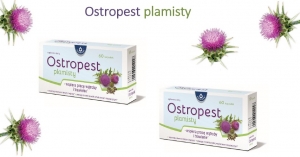 Ostropest plamisty
