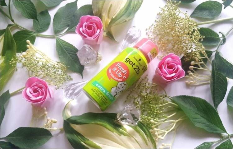 Schwarzkopf Got2b Fresh it Up suchy szampon