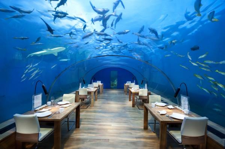 Przewodnik po żywiołowych restauracjach