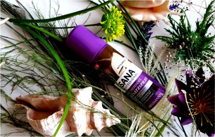 Isana Professional spray do retuszu odrostów średni brąz