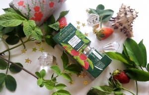  Bielenda Botanic Spa Rituals olejek z pestek malin + melisa serum nawilżające