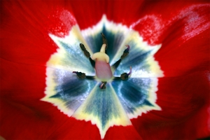 Szalone możliwości TK Maxx