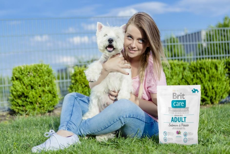 Dlaczego warto stosować bezzbożowe karmy dla psów?