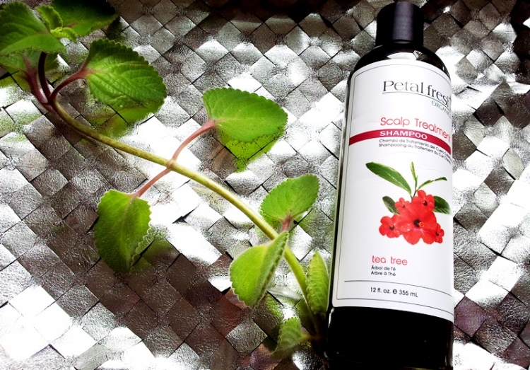 Petal Fresh Organics Tea Tree odżywczo-antyseptyczny szampon do włosów