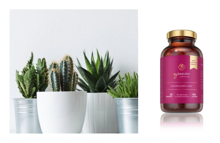 Nowość MyBestSlim od MybestPharm