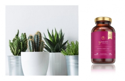 Nowość MyBestSlim od MybestPharm