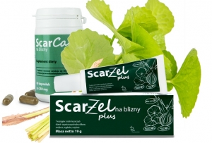 Wąkrotka azjatycka &ndash; wielka moc niewielkiej roślinki