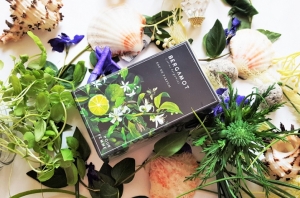 Nou Bergamot perfumy