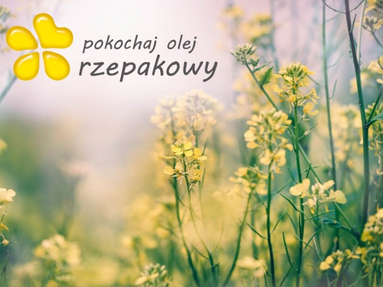 Światowy Dzień Serca 2016