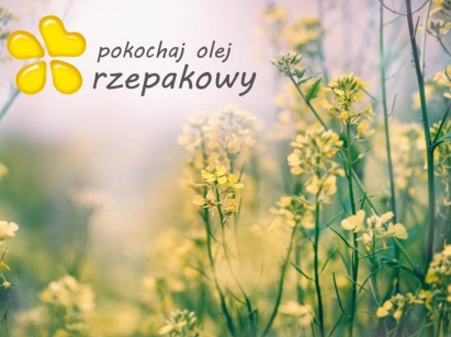 Światowy Dzień Serca 2016