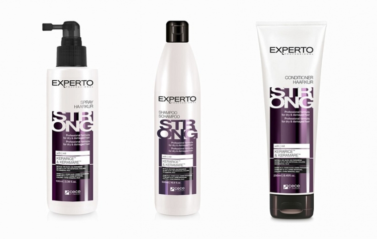 Experto Professional Strong