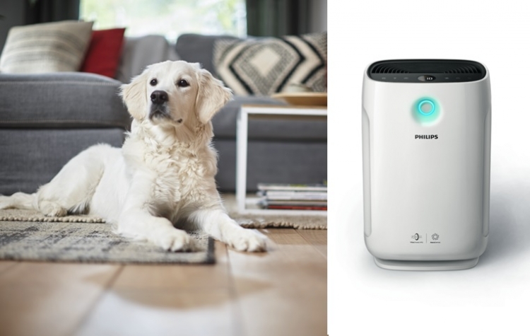 Oczyszczacz powietrza Philips AC2889/10
