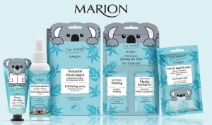 Nowość do st&oacute;p Marion Dr Koala