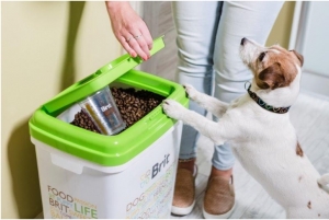 Zmiana karmy dla psa: Jak to zrobić?