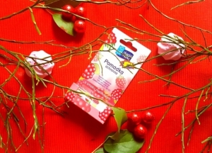 Pomadki ochronne Skarb Matki